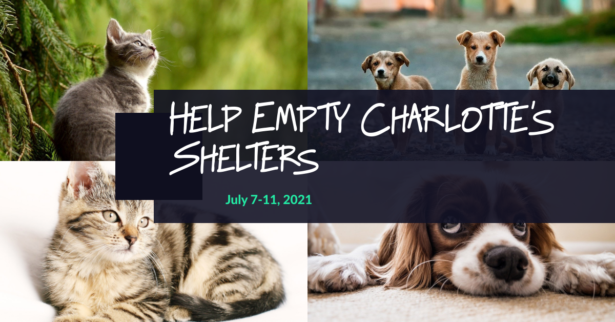 Help_Empty_Charlottes_Shelters.png