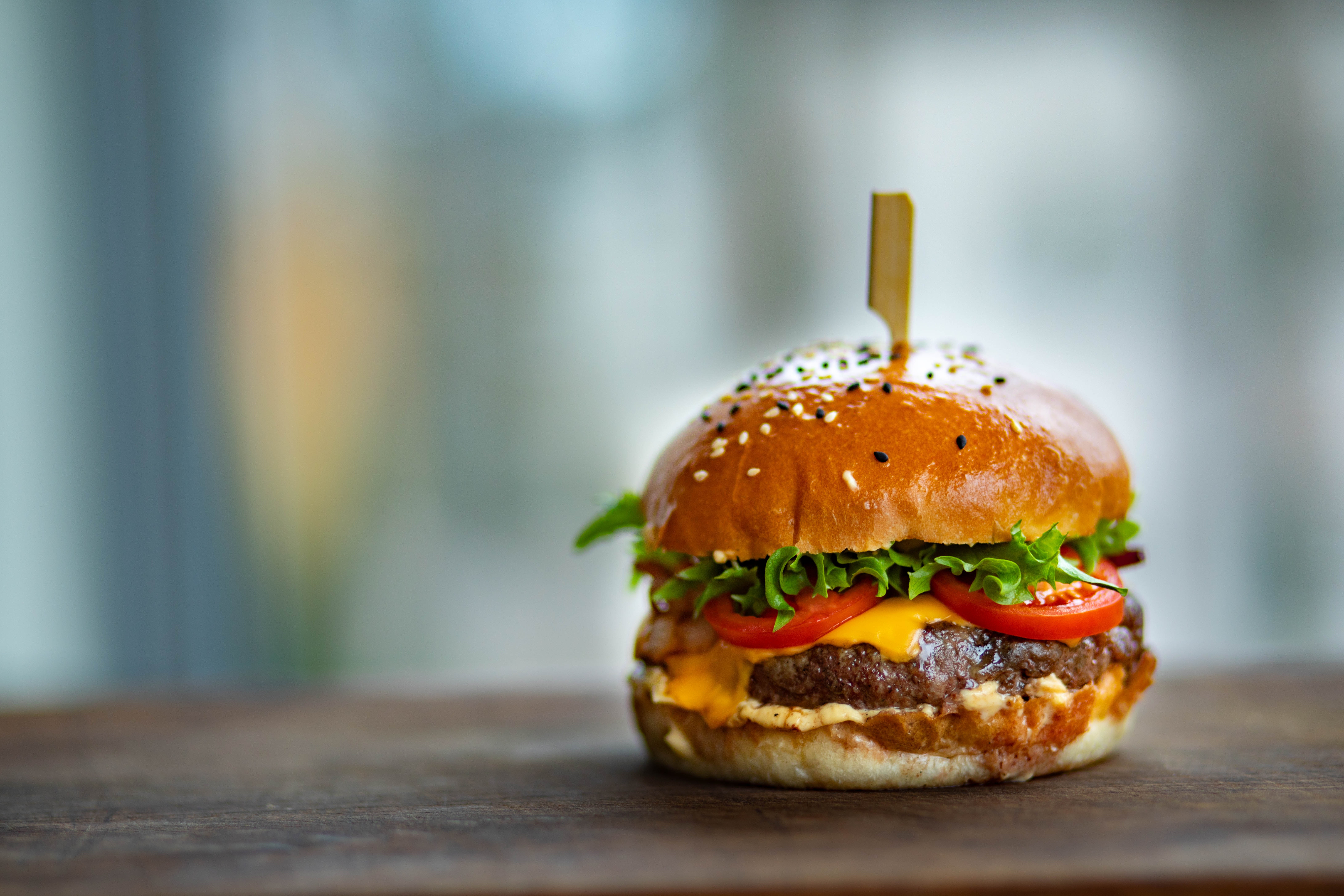 burger-close-up-delicious-1639565.jpg