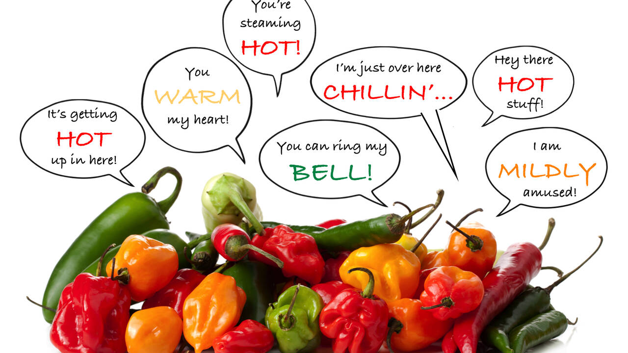 peppers_getting_hot.jpeg