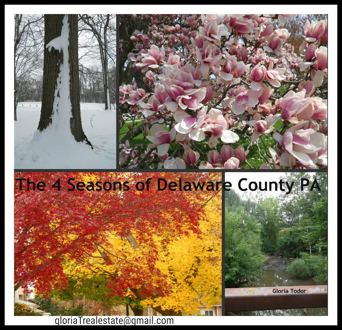 delco_4_seasons_.jpg