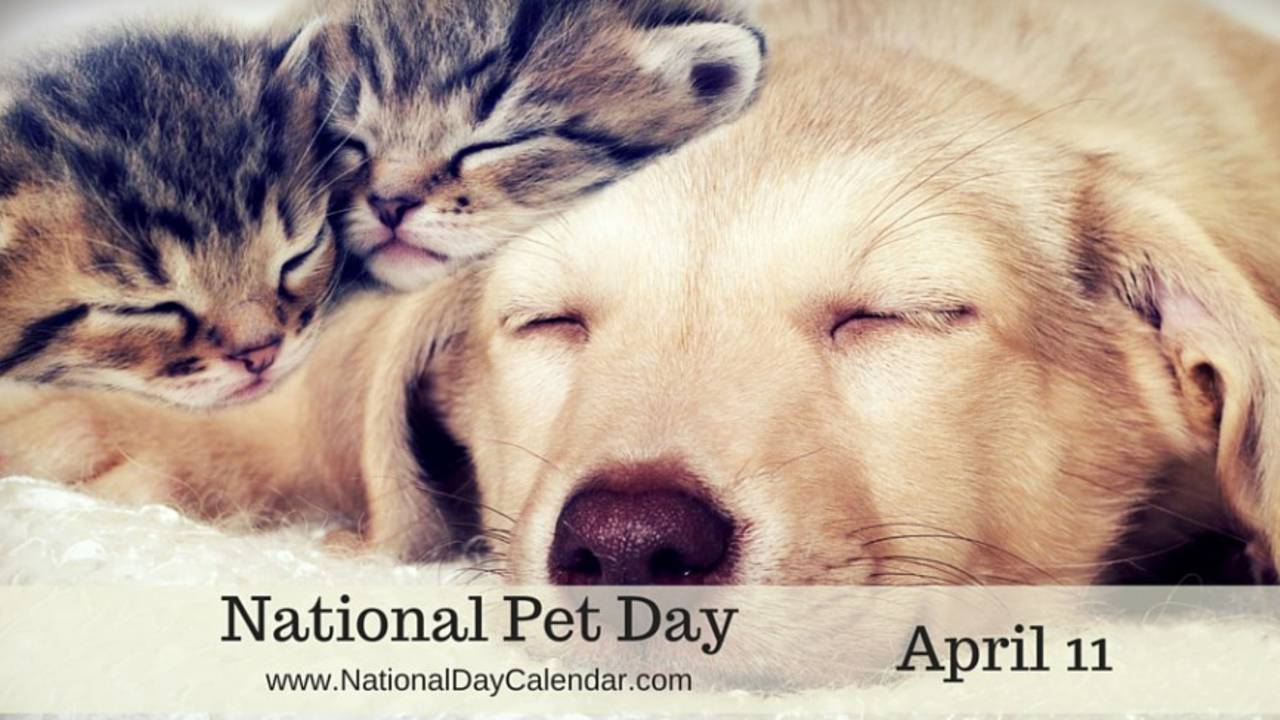 National_Pet_Day_April_11.jpg