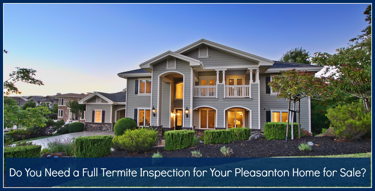 Do_You_Need_a_Full_Termite_Inspection_for_Your_Pleasanton_Home_for_Sale-featured.jpg