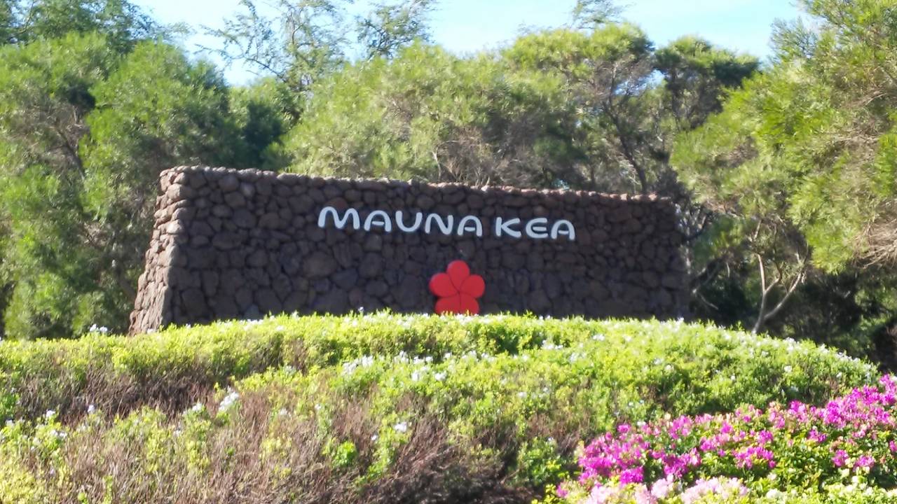 MaunaKeaEnt3.jpg