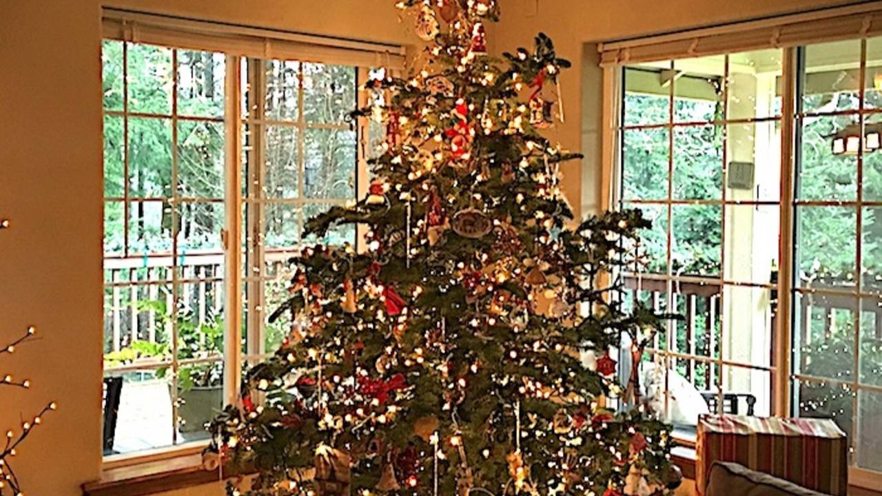 Christmas_Tree_2016.JPG
