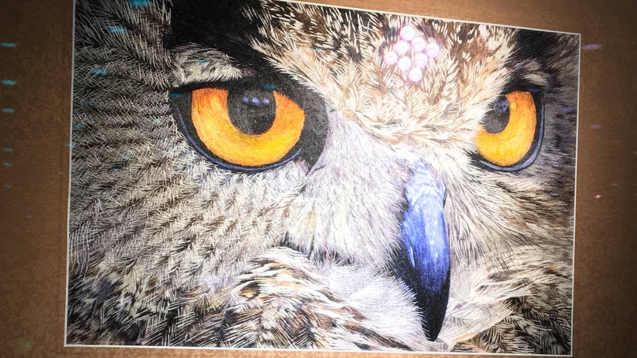 Owl_Embroidery_ACC_2018.jpg