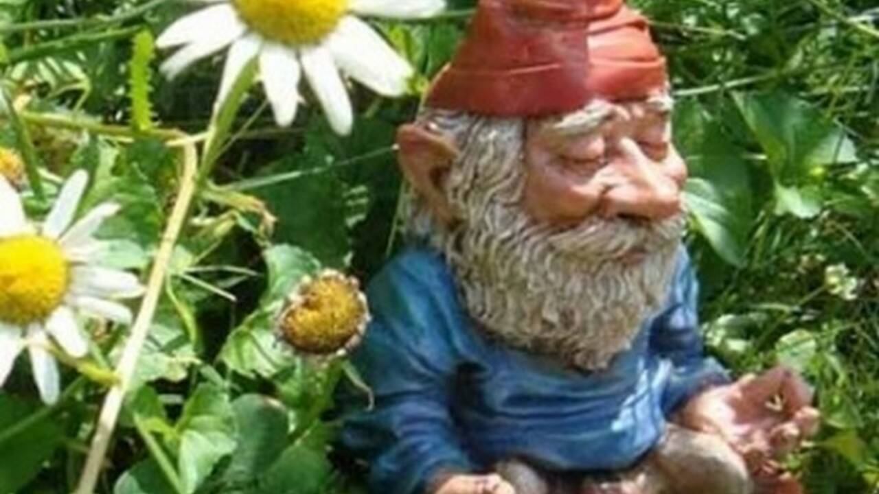 garden_gnome_meditating.jpg