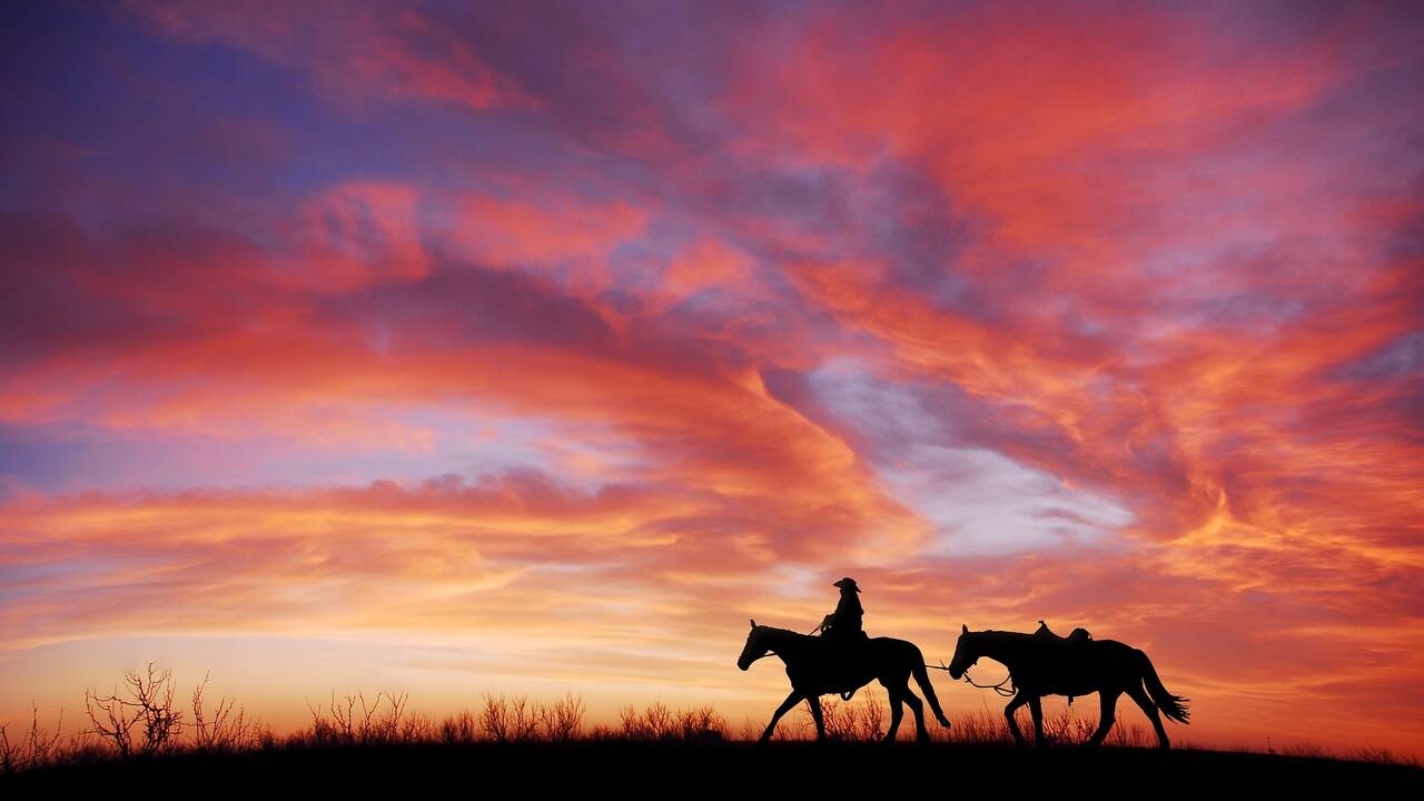 Cowboy_leading_horse_sunset_Pixabay.jpg