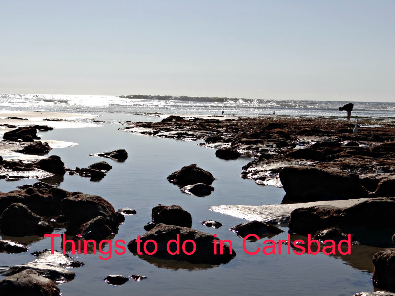 Things_to_Do_in_Carlsbad_graphic.jpg