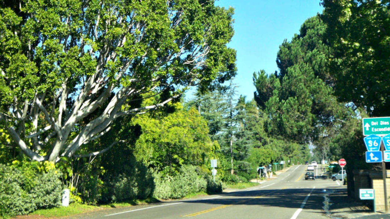 Rural_road_in_Rancho_Santa_Fe.jpg