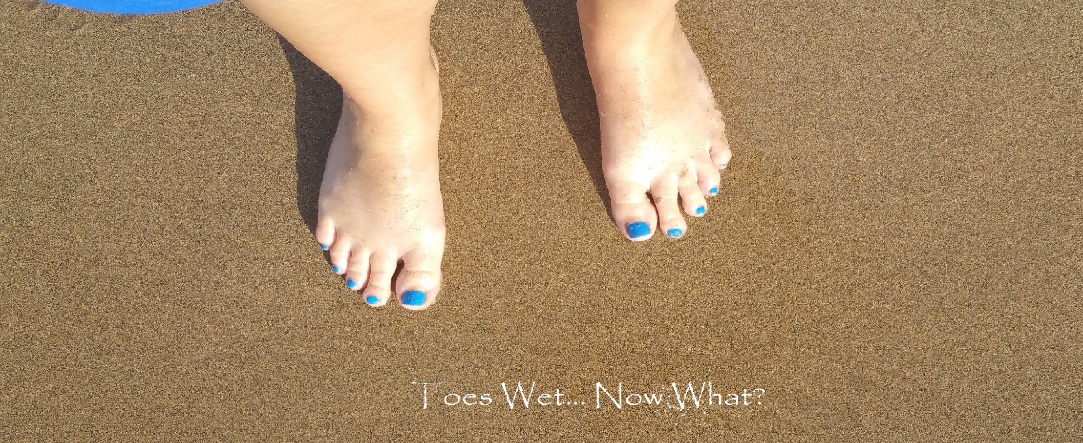 Toes Wet... Now What?
