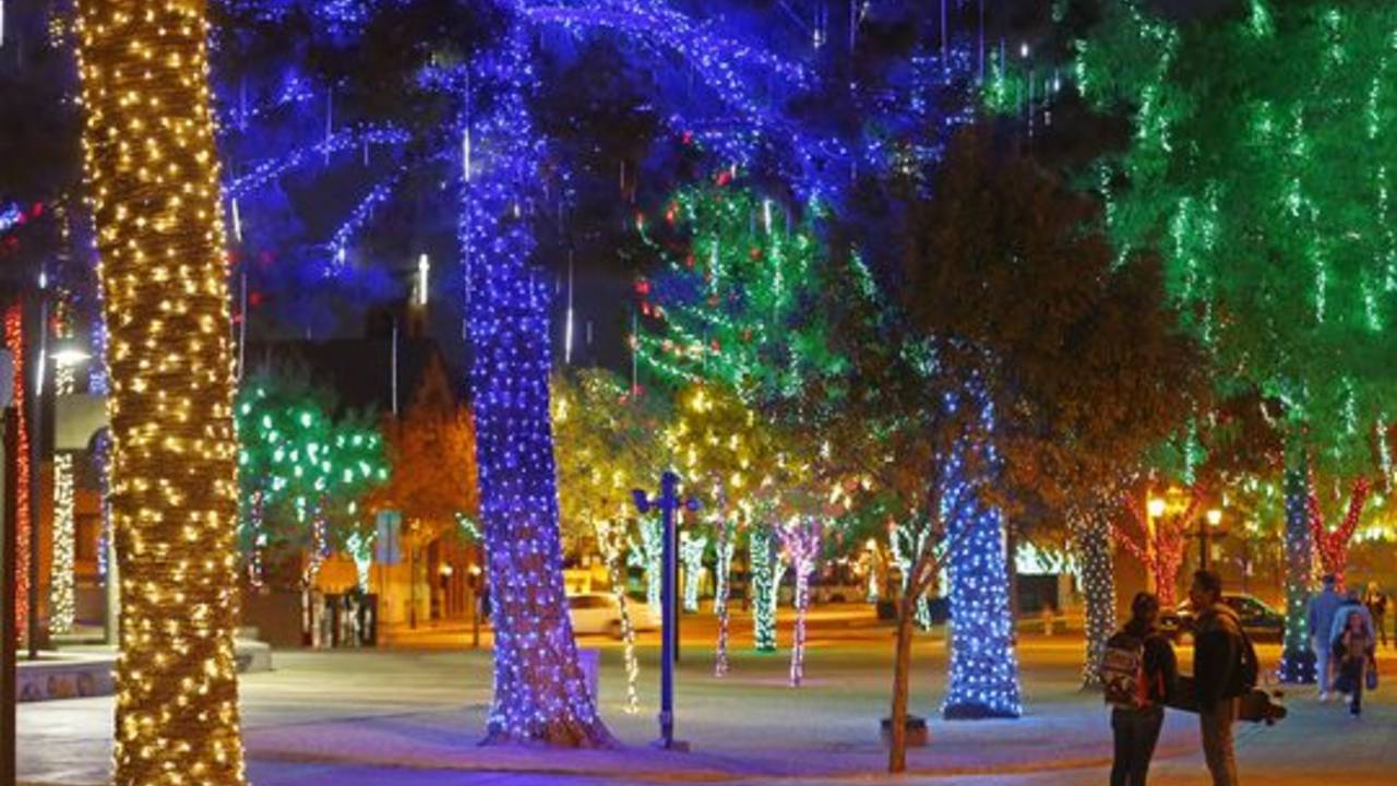 Christmas_palm_trees_arizona.jpg