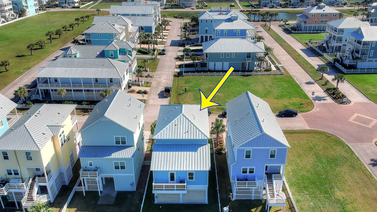 11450_Sea_Butterfly_Galveston.jpg