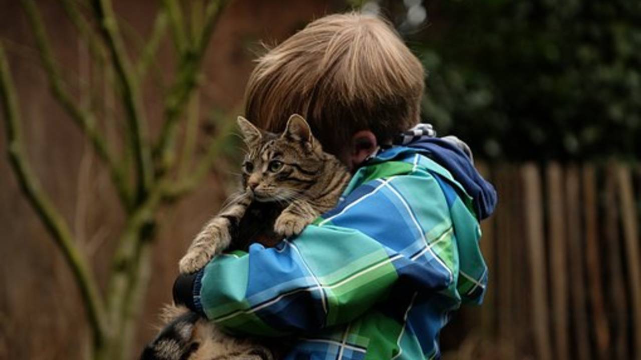 boy_hugging_cat.jpg