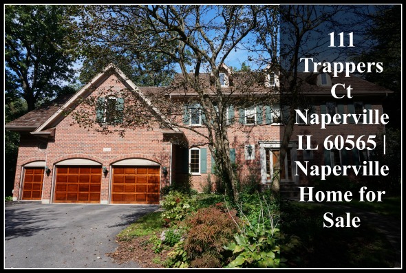 Trappers-Ct-Naperville-IL-.jpg