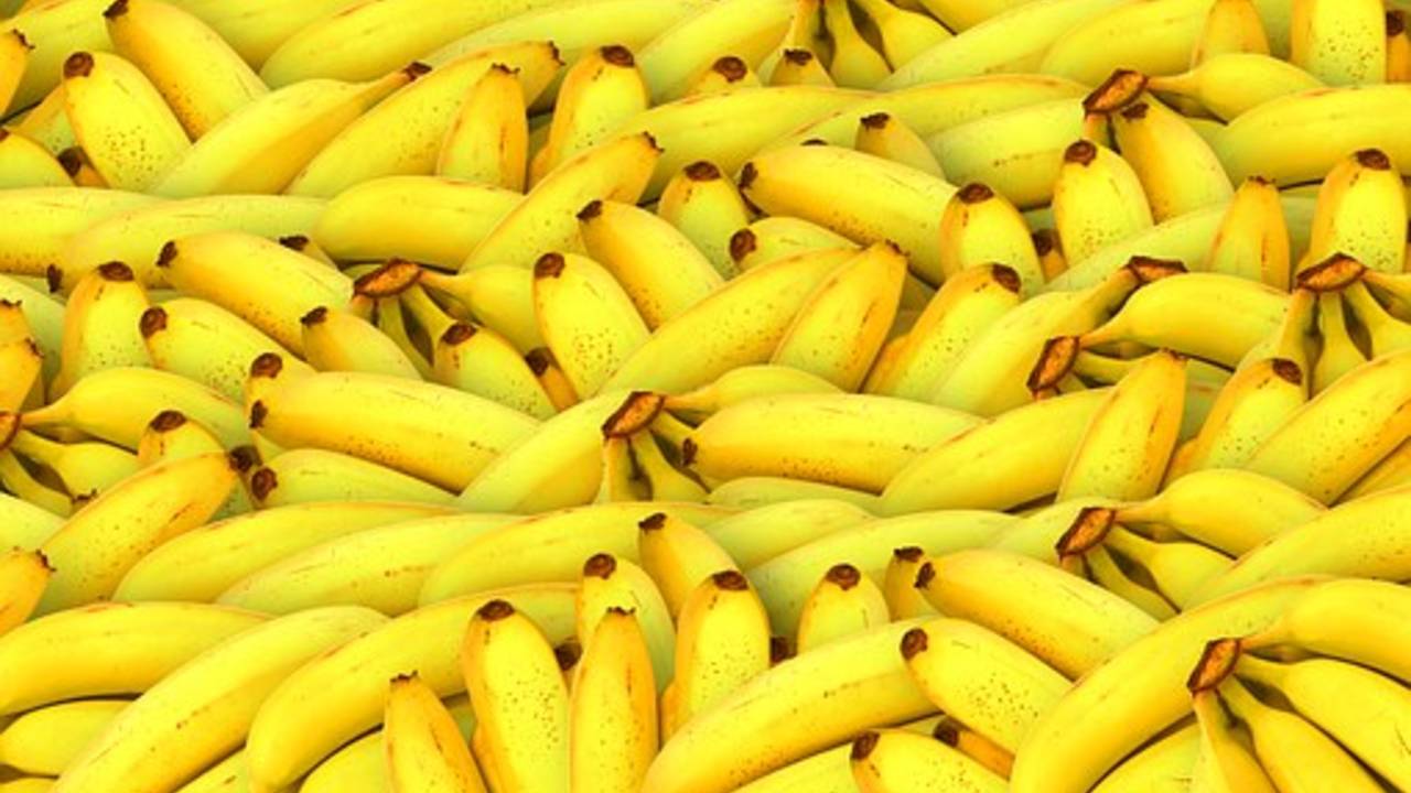 bananas_image_p.jpg