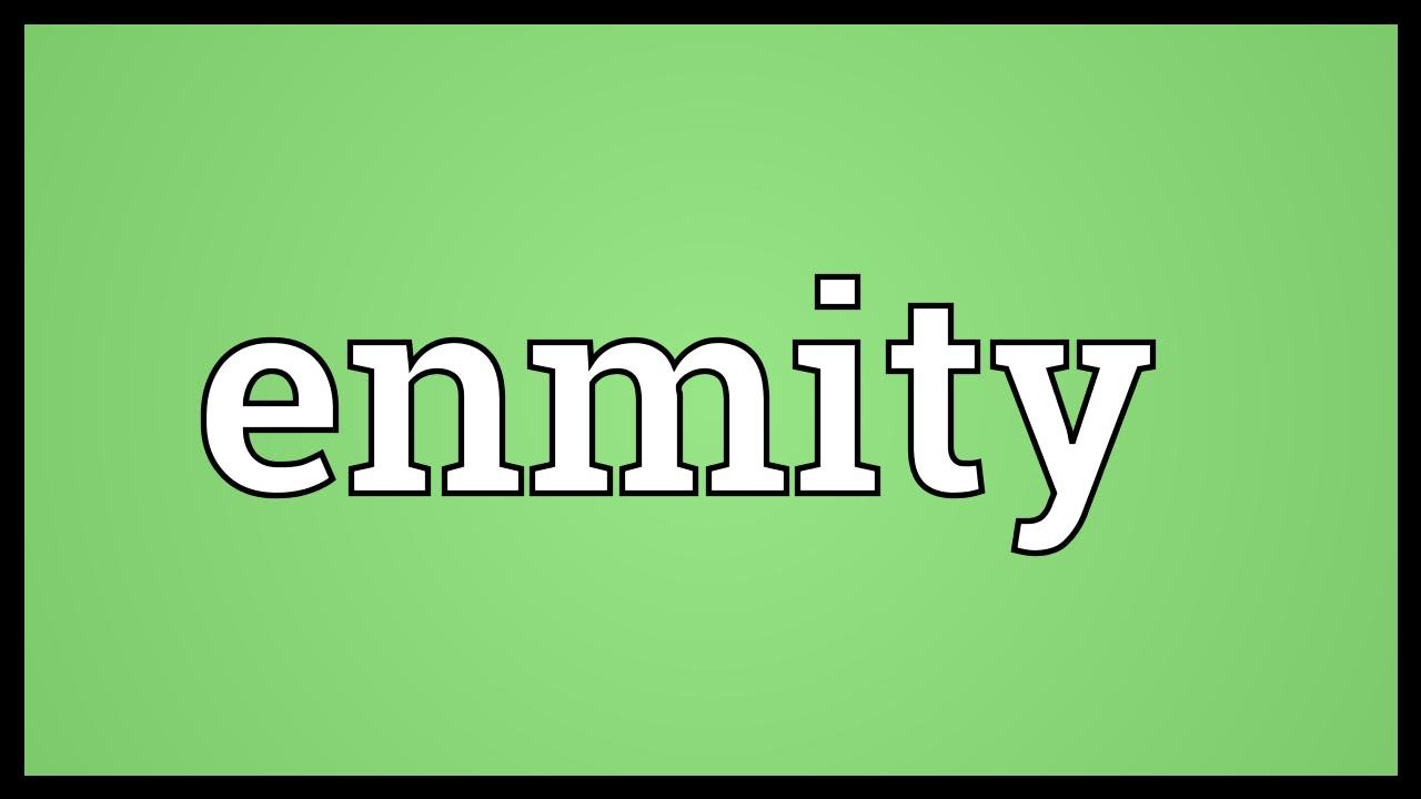 the meaning of animosity the meaning of animosity