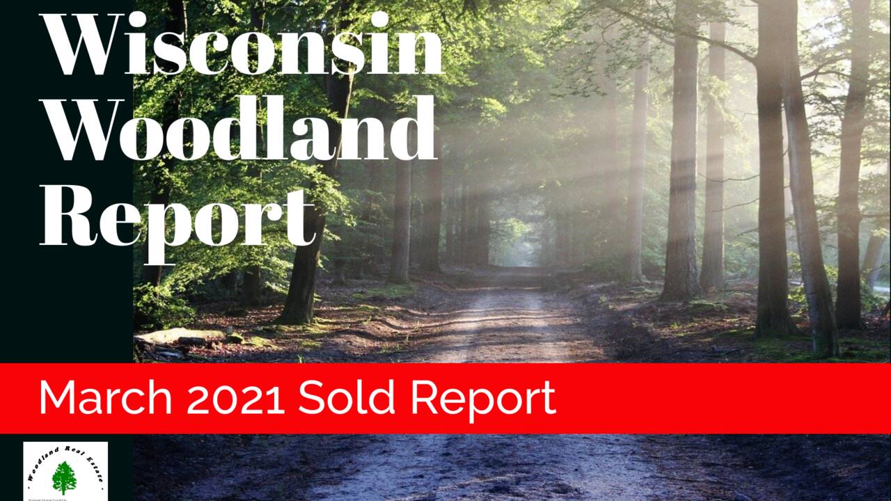 Woodland-Reports-1800x1200-layout1775-1g5kek0.png