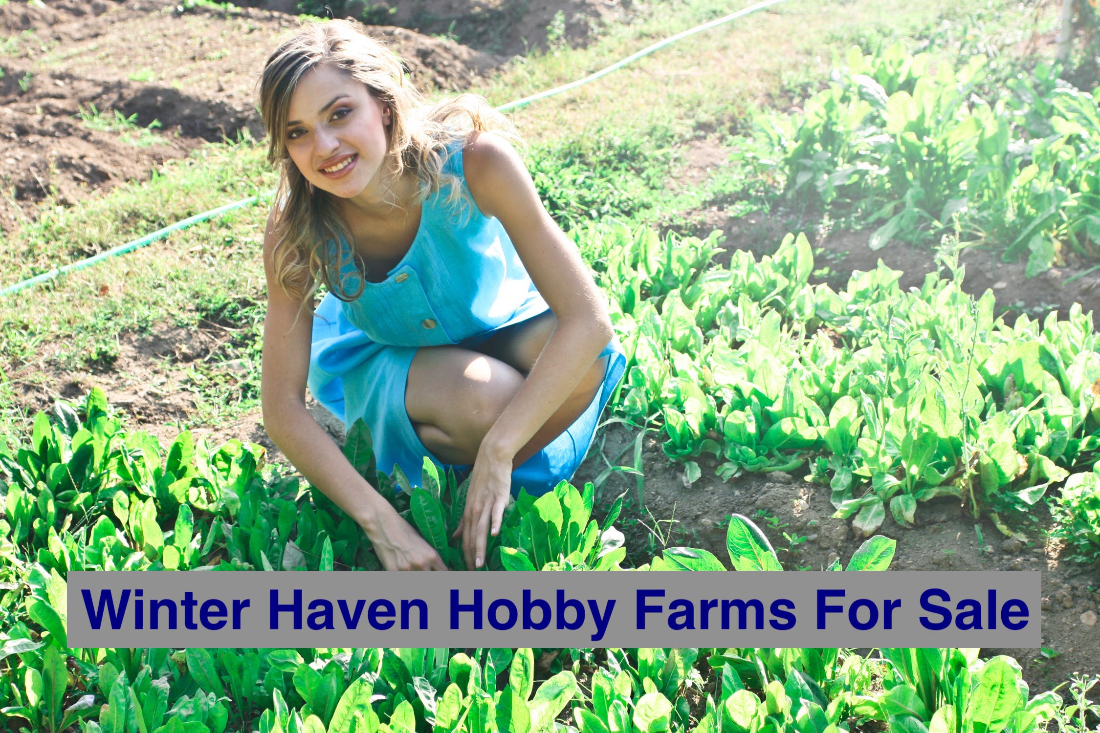 Winter_Haven_Hobby_Farm_-_Farmer_Jane_copy.jpeg