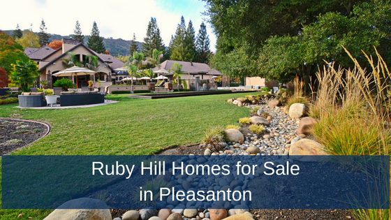 Ruby_Hill_Homes_for_Sale_-_Featured_Image.png