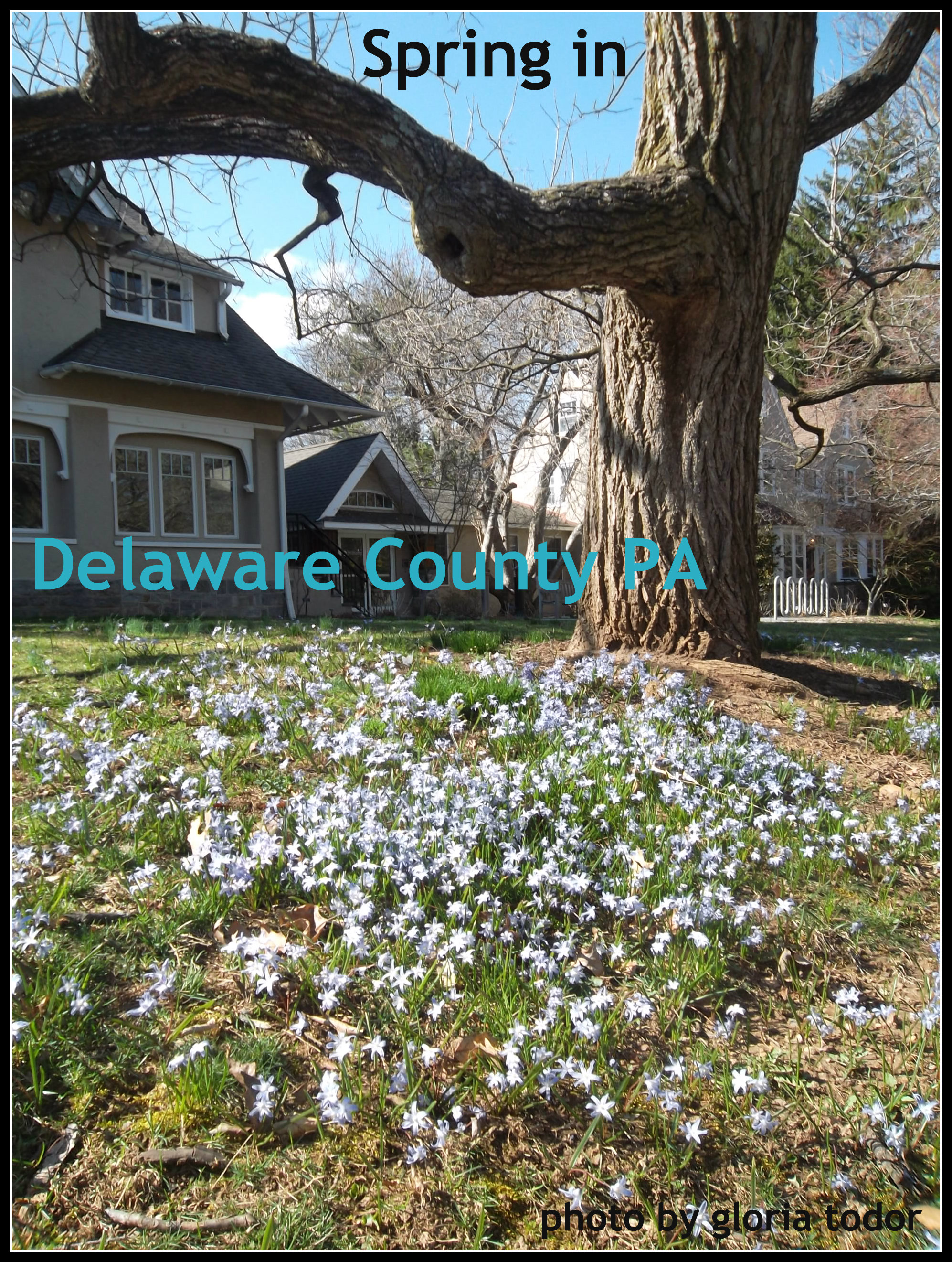 Spring_2015_Delaware_County_PA.jpg