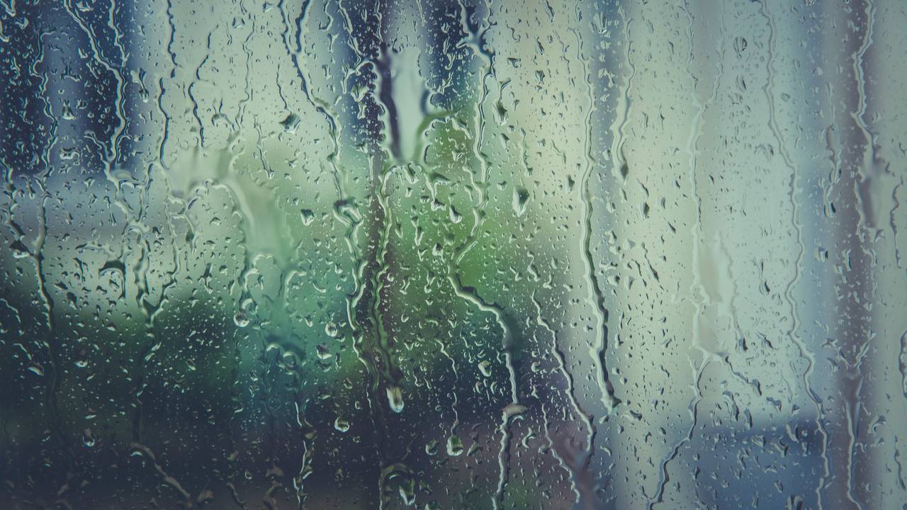 rain-raindrops-rainy-110874.jpg