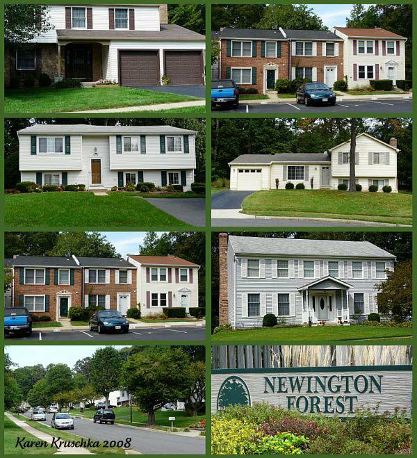 Blog Posts amberbasics