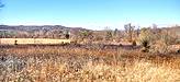 Lot 116 hickory ln 5