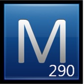 MAPS 290, CEO  (MAPS 290)