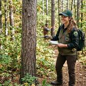The Woodland Team North Shore Lake Superior, Land Specialists (The Woodland Companies)