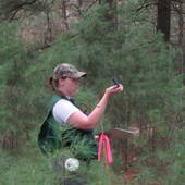 The Woodland Team North Shore Lake Superior, Land Specialists (The Woodland Companies)