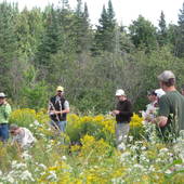 Tracy Hawke, Wisconsin Forest Land Experts! (Woodland Management Service)