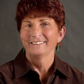 Pat Somers, Kingman/Lake Havasu Land & Homes (Red Sign Realty)