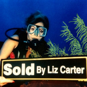 Liz Carter, Broker/Owner of Liz Carter & Team Realty, Katy TX (Houston) (Liz Carter & Team Realty-Your Real Estate Resource For Life!)