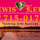 Marla Lewis, LEWIS  and   LEWIS