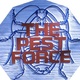 Matt McLaughlin (The Pest Force): Home Inspector in Myrtle Beach, SC