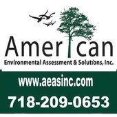 American Environmental Assessment & Solutions (American Environmental Assessment & Solutions, Inc)