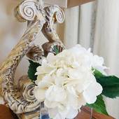 White Birch Interiors, Home Staging and Interior Designs (White Birch Interiors)