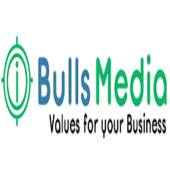 IBULLS MEDIA, Hire Professional SEO Company India Get best SEO S (IBulls Media)