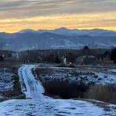 Kelly Pollard, Real Estate Agent serving the greater Denver Metro (Re/Max Professionals Inc.)
