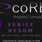 Venice Nesom, SKY'S THE LIMITS, BUY, SELL, OR RENT (CORE PROPERTY CONSULATANT)