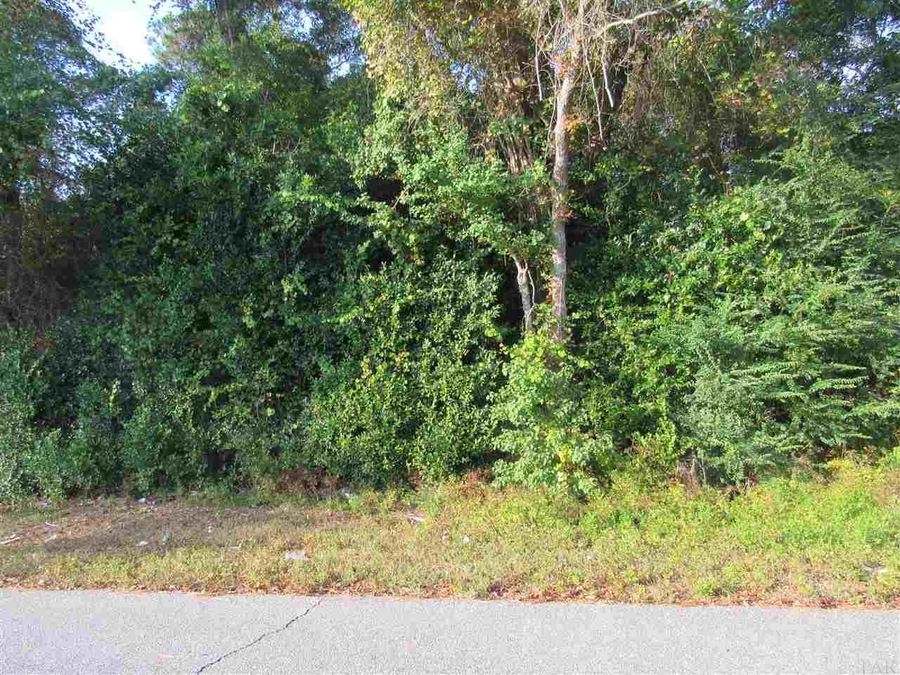 Great wooded lots for sale