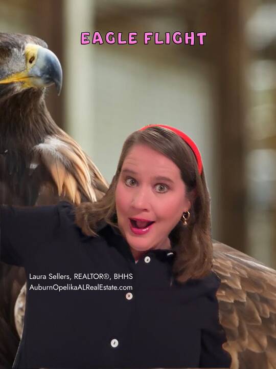 eagle_flight_auburn_university.jpg