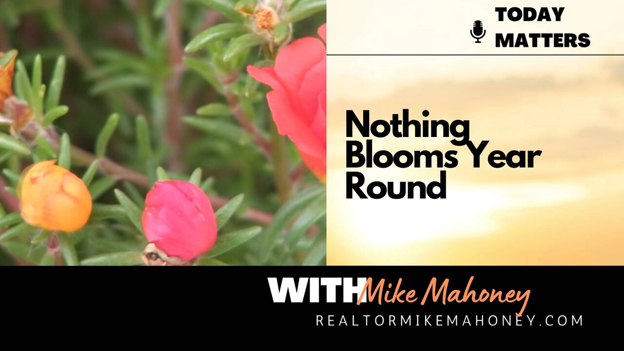 Nothing_in_Nature_Blooms_Year_Round.jpg