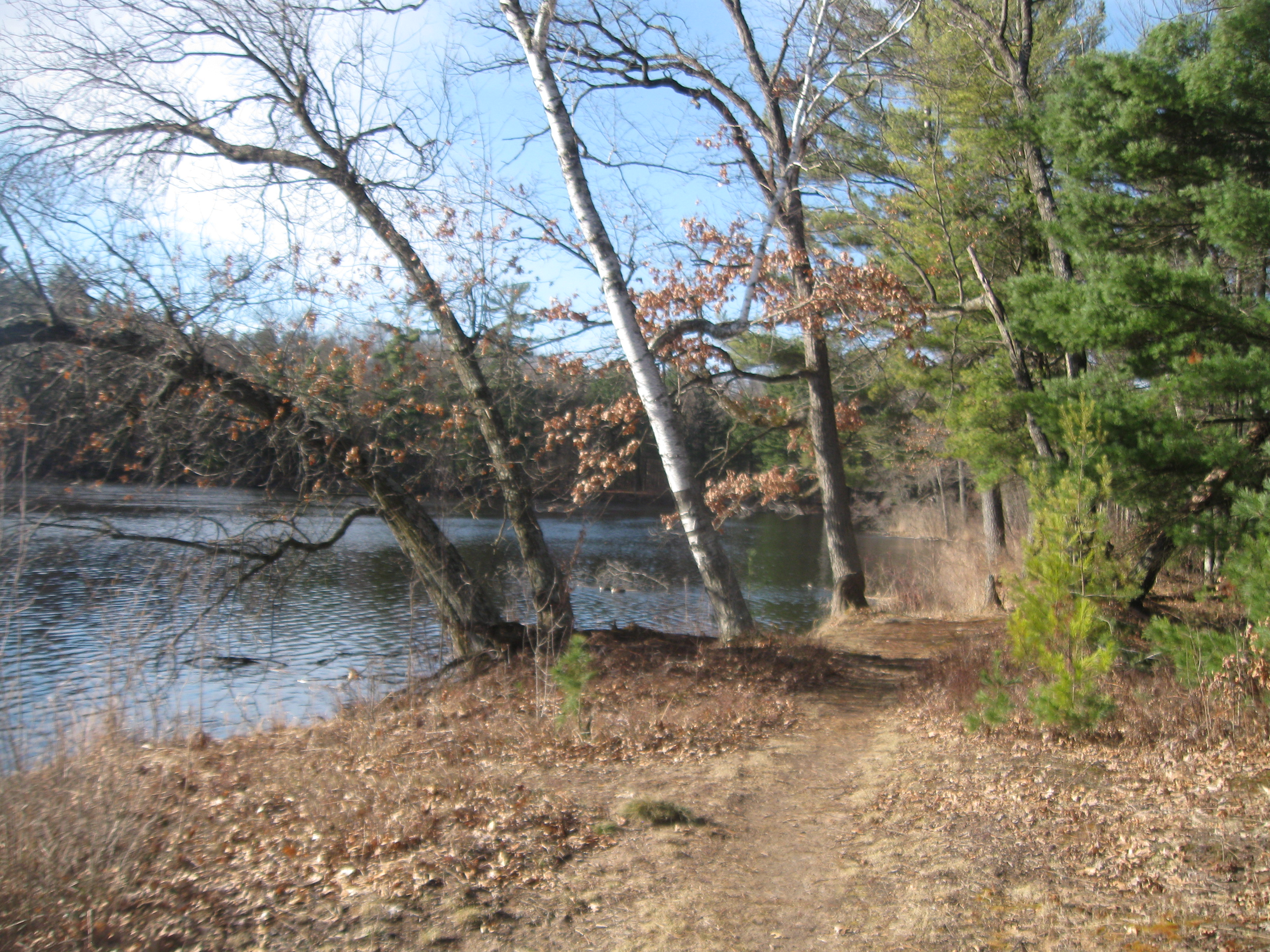 Woodland Report Dunn County; Hunting, Timber, Investm