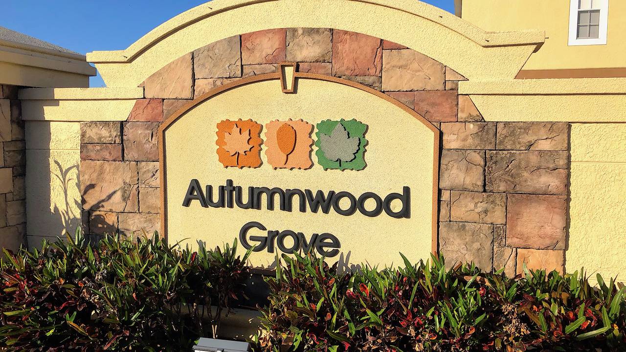 Autumnwood_Grove.jpg