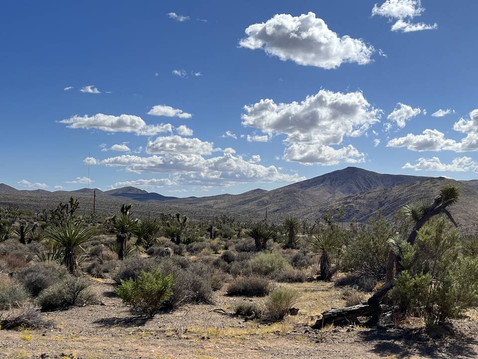 27.Looking_SW_across_W_Inyo_from_near_South_Parcel_Line.JPG
