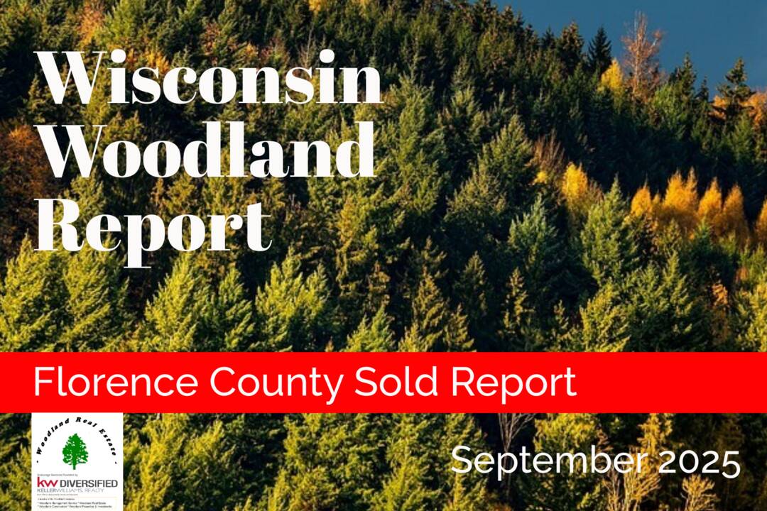 Florence_09-2025S_Woodland-Reports-1800x1200-layout1775-1kc3eao.png