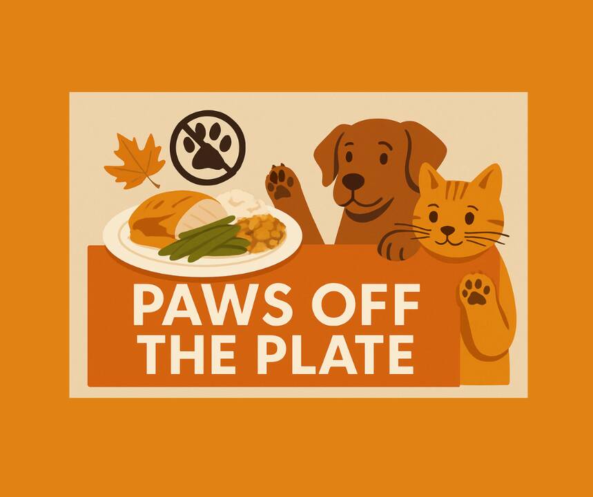 paws_off_the_plate_2025.png