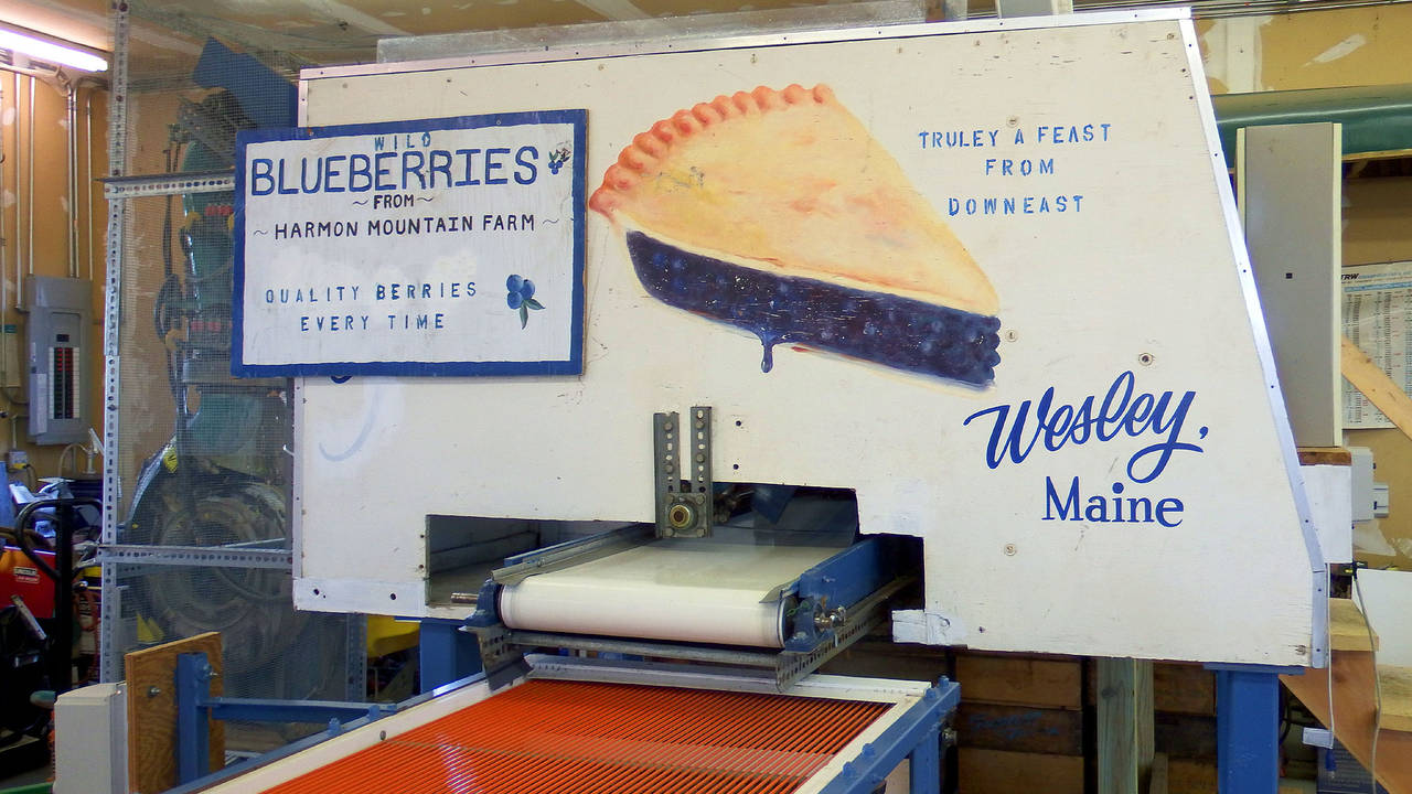 Maine Blueberry Farm For Sale, Two Houses, 300 Land Acr