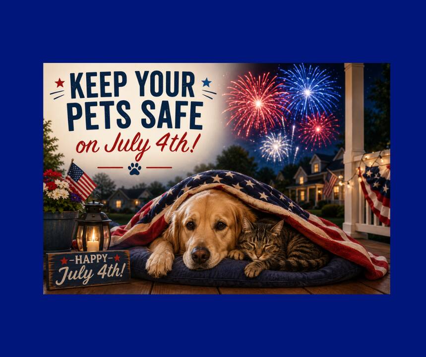 Keeping_your_pets_safe_on_July_4th.png
